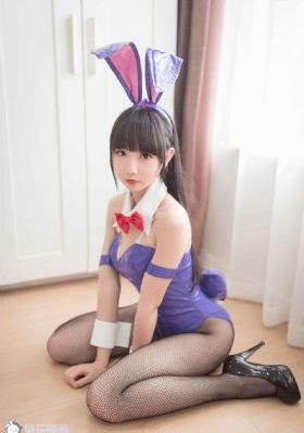 拉布拉多警长