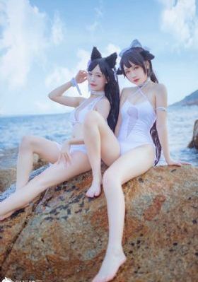 斗罗大陆完整版动漫免费