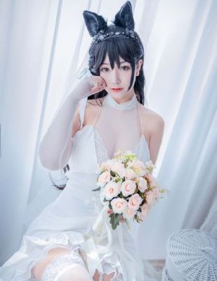 姐姐5免费完整高清电视