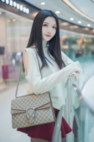 抗日女侠