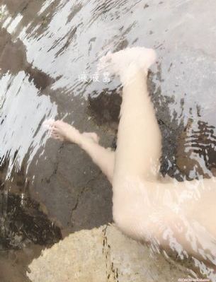 中餐厅第八季免费观看