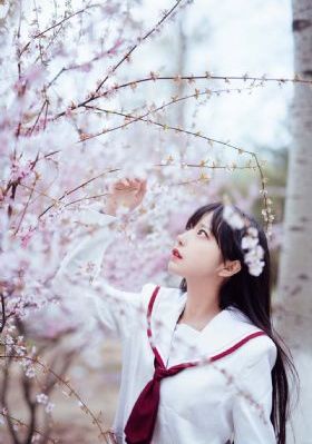 合欢主高辣h文